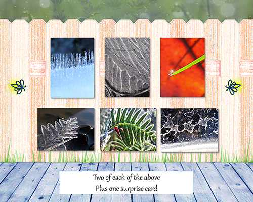 Poetry of Nature Greeting Card Collection- Snow and Ice I